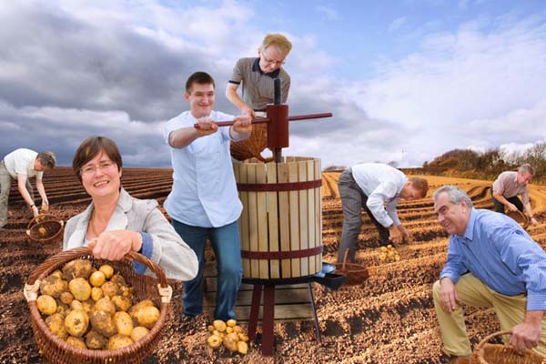 Herr Althaus, Frau Lieberknecht, Herr Dieste und Herr Trautvetter machen sich verdient um die Kartoffel in Heichlheim, Bild mit freundlicher Genehmigung vom Tester Herrn Kaiser